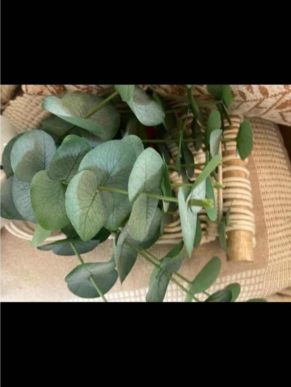 faux eucalyptus arrangement Hearth & hand with Magnolia